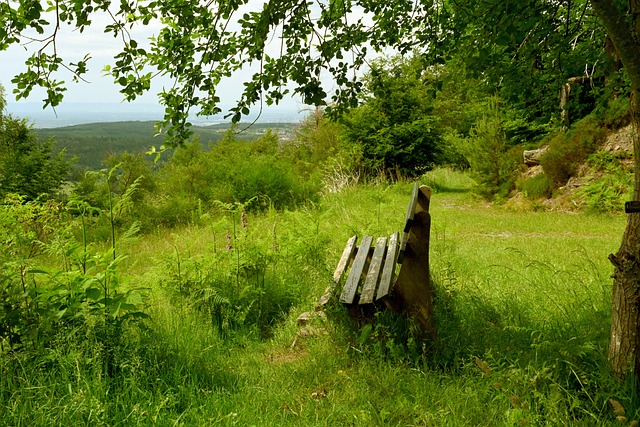 后的原因及 后的原因及