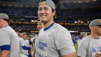 人的表现能 人的表现能