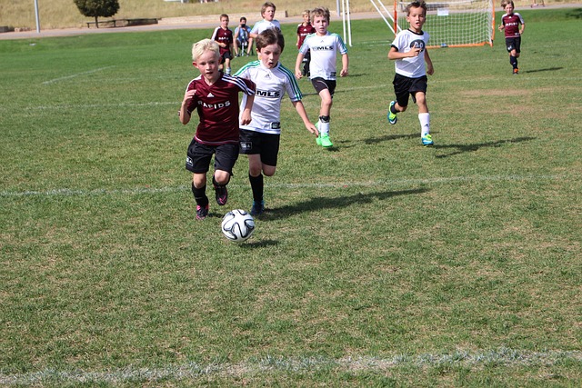 自然在竞争 自然在竞争