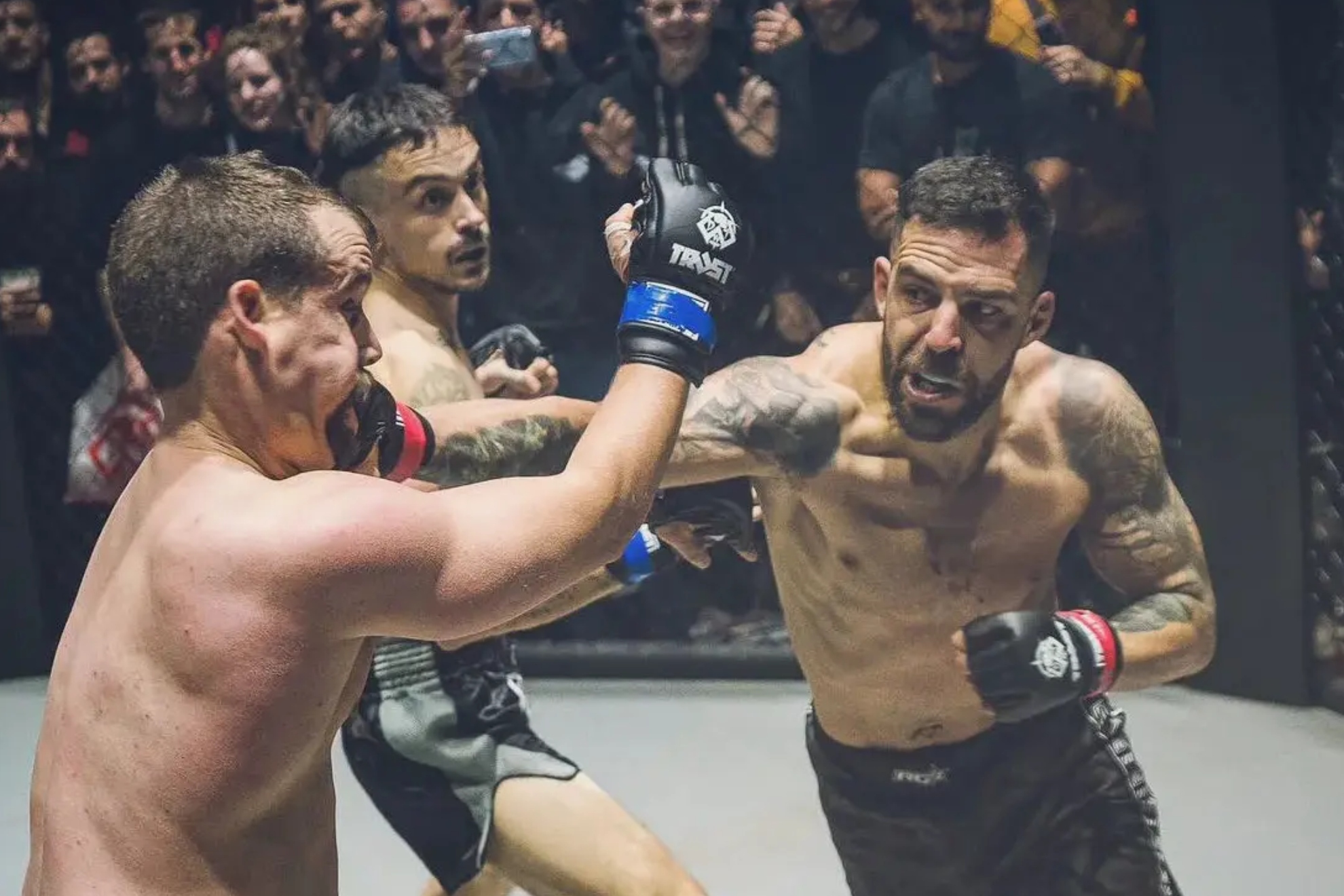 平局专家 平局专家