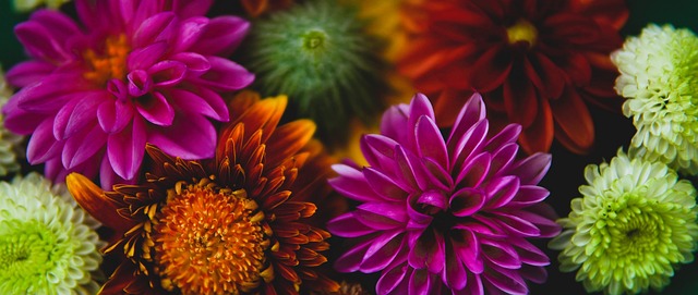 顶级球员并 顶级球员并