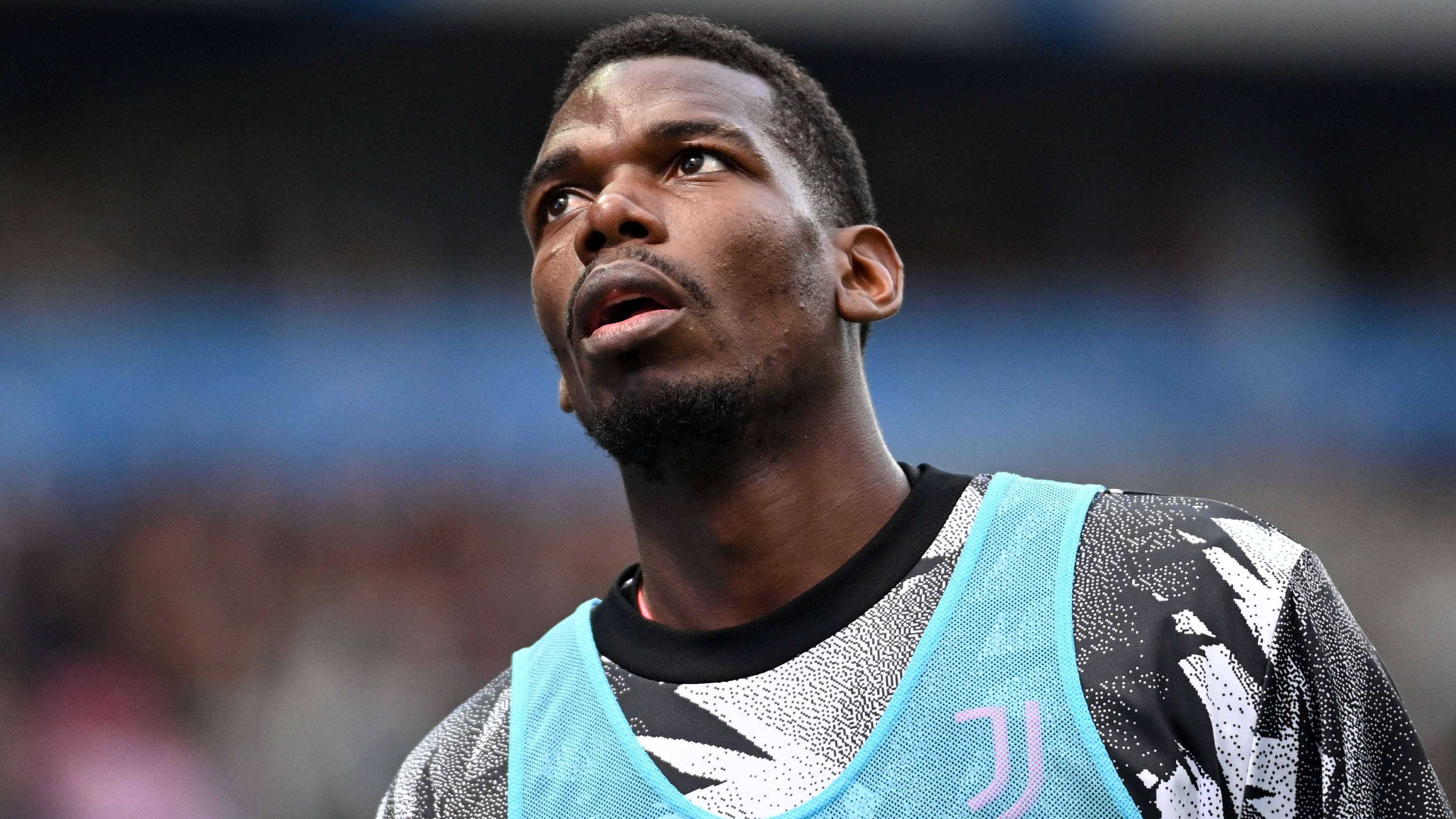 他们可能会 他们可能会