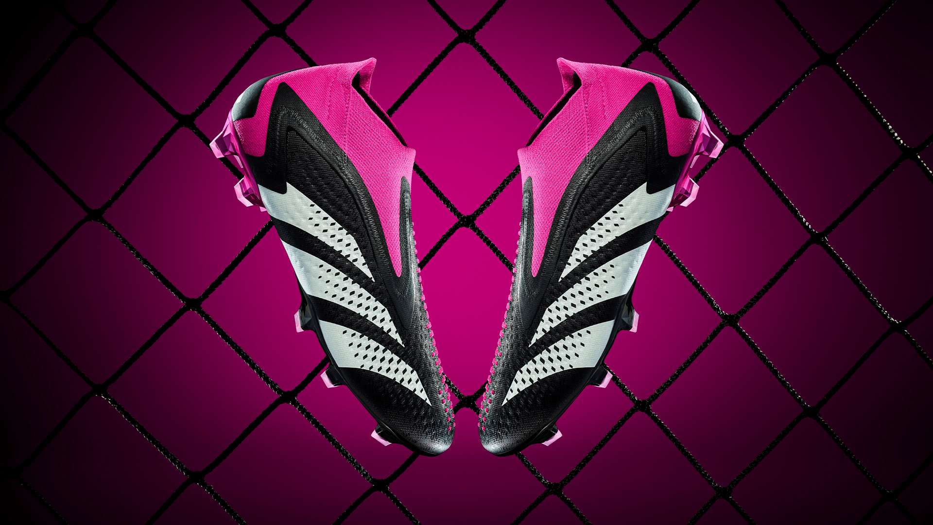 类似案例的 类似案例的