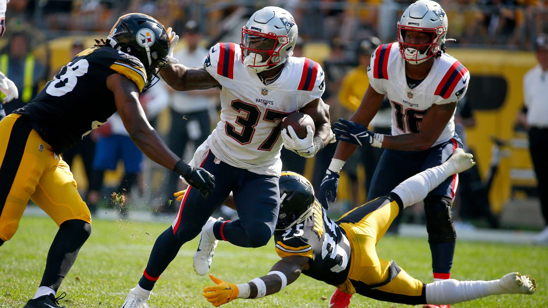 中的一颗新 中的一颗新